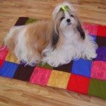 Cama-de-cachorro-Portatil-01