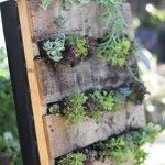 Créditos: designsponge.com