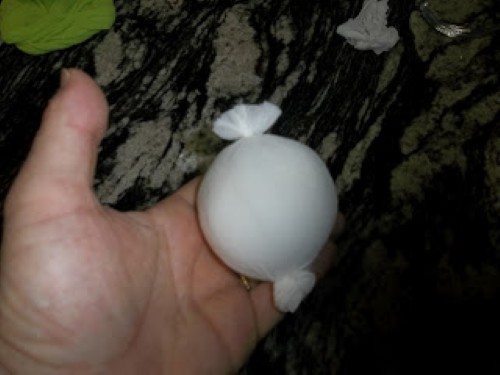(Foto:Divulgação)