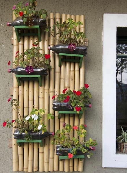 Bamboo Bambu