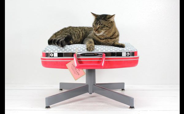 caminha de gato com material reciclável caminha de gato com material reciclável