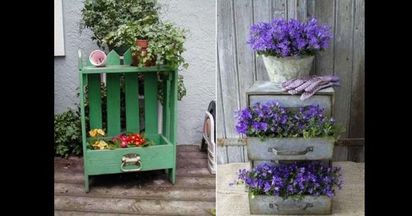 gaveta antiga como enfeite de jardim gaveta antiga como enfeite de jardim