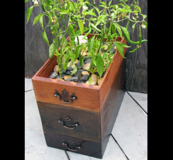gaveta antiga como vaso de planta gaveta antiga como vaso de planta