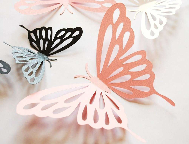 mariposa mariposa