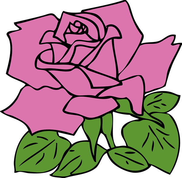 desenhos de flor rosa desenhos de flor rosa
