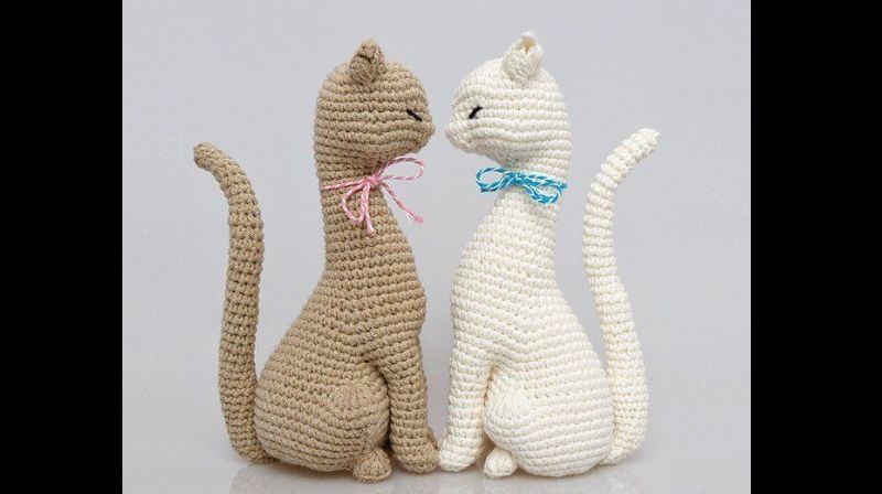 gatos gatos