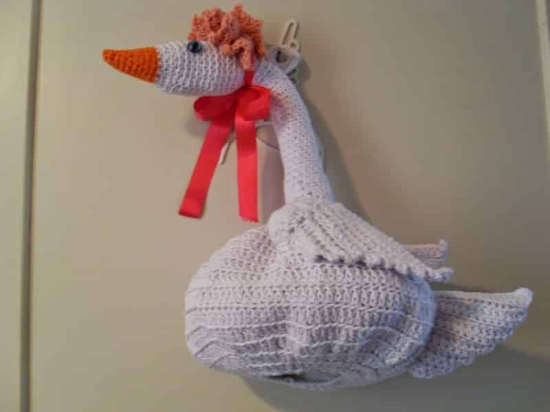 cisne cisne