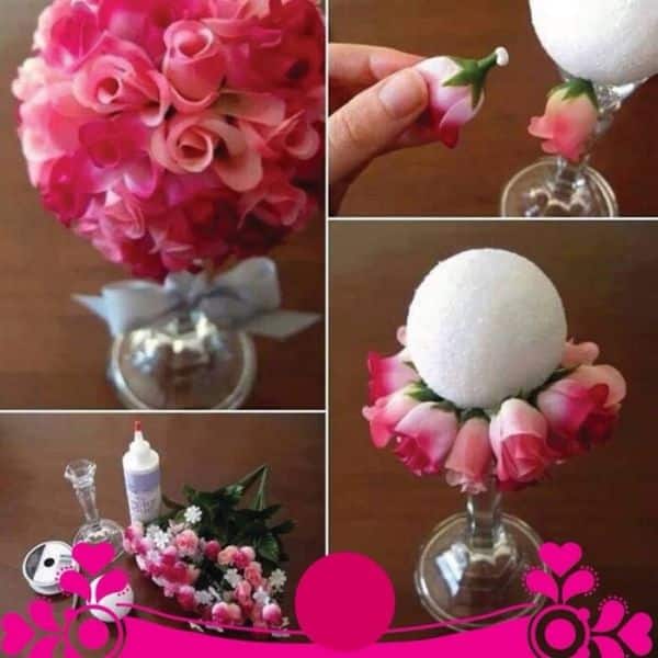 rosa rosa