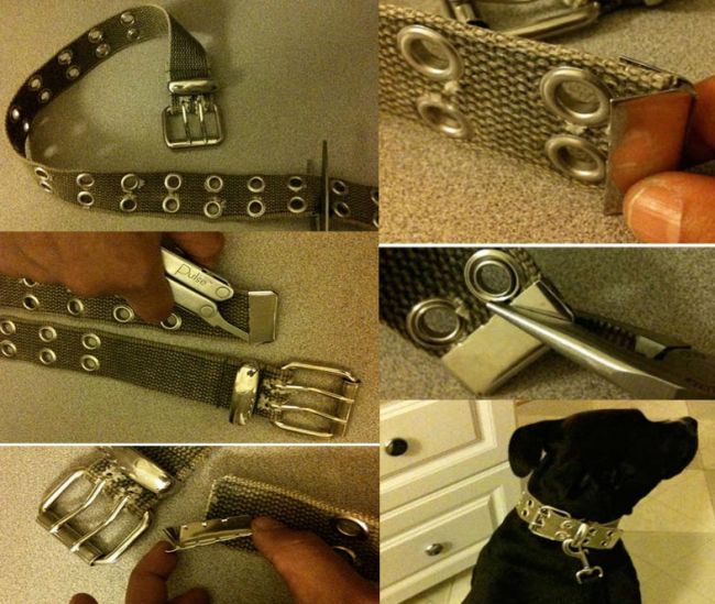 belt belt