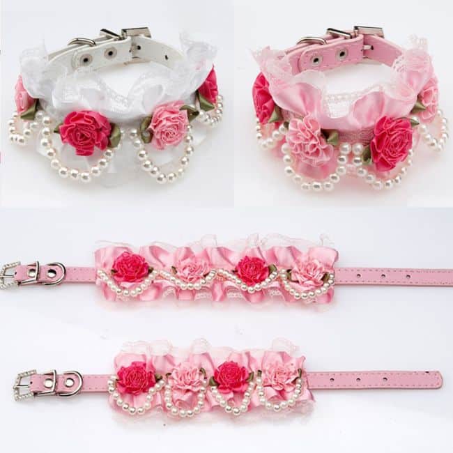 rosa rosa