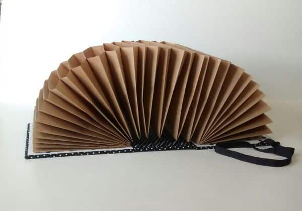 concertina concertina
