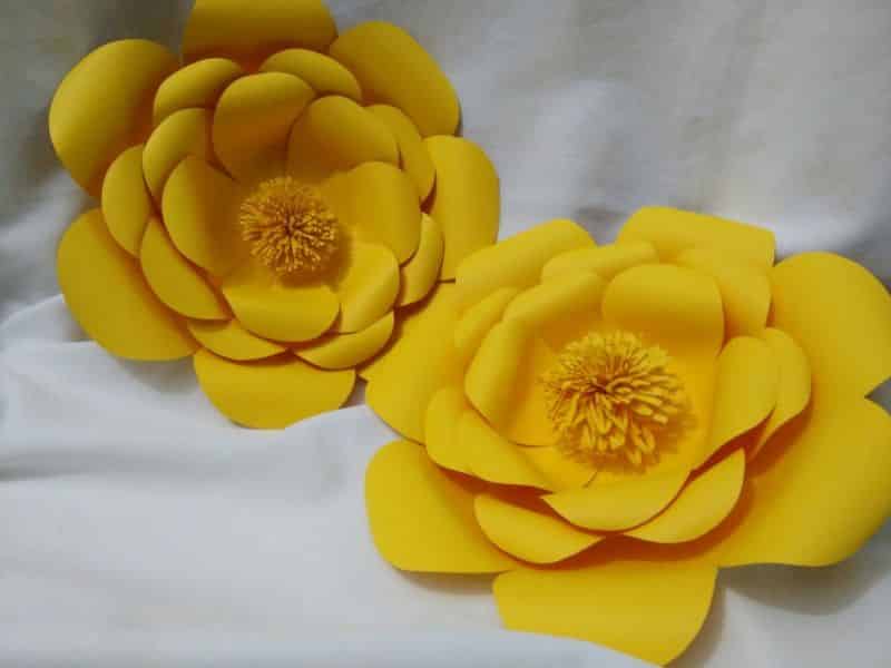 amarela amarela