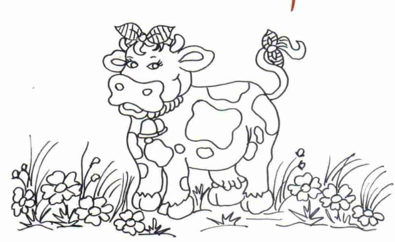 vaca vaca