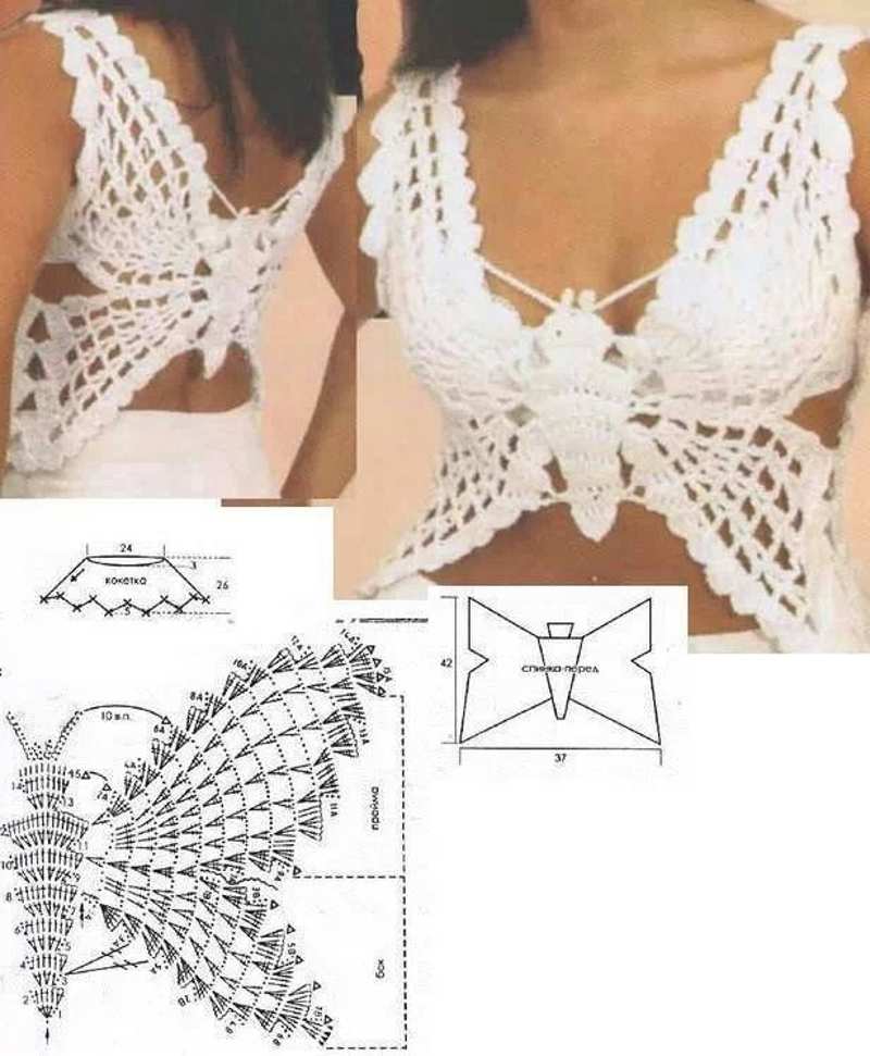mariposa mariposa