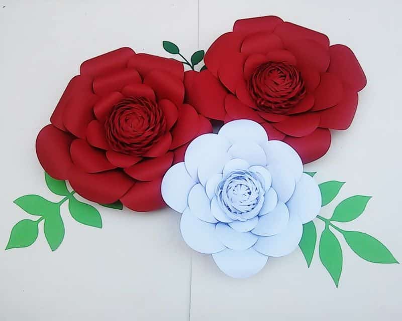 rosas rosas