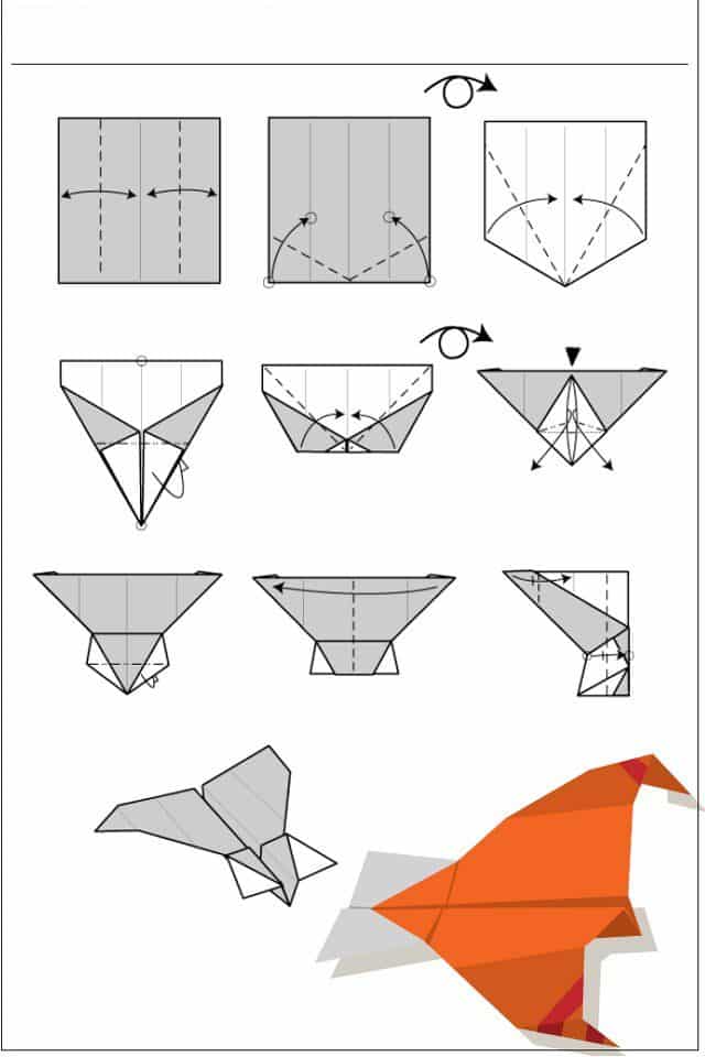 naranja naranja