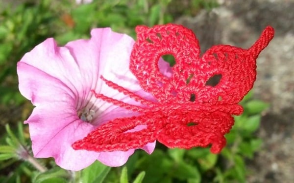mariposa mariposa