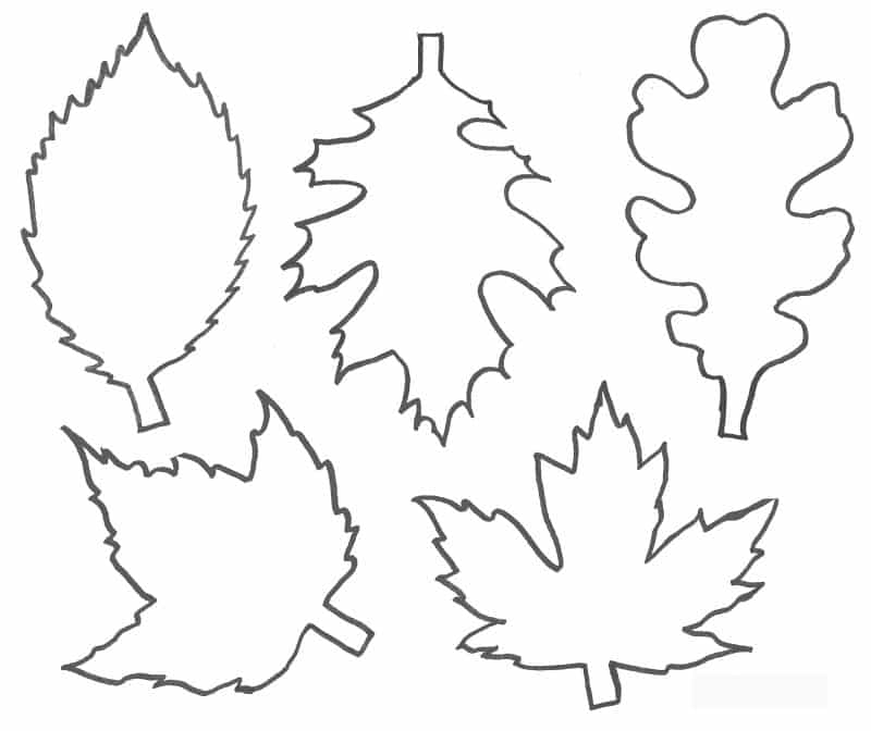 papel papel