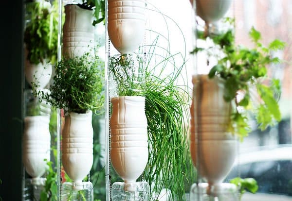 horta horta