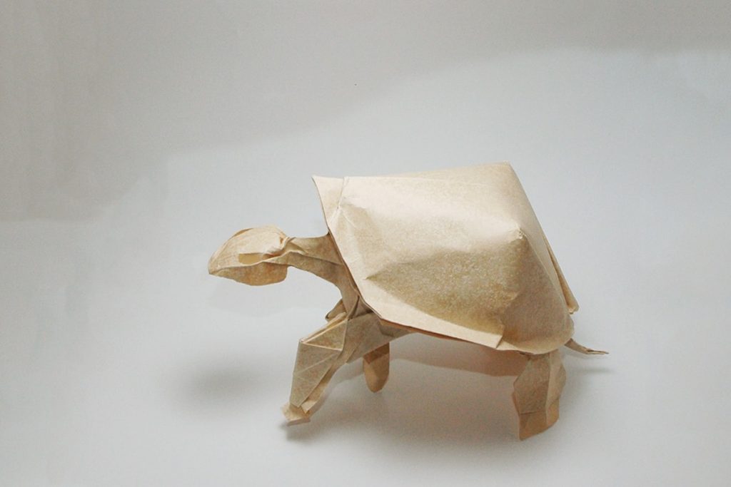 dobradura tararuga origami tartaruga