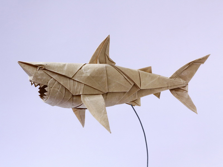 tubarão origami tubarão de papel