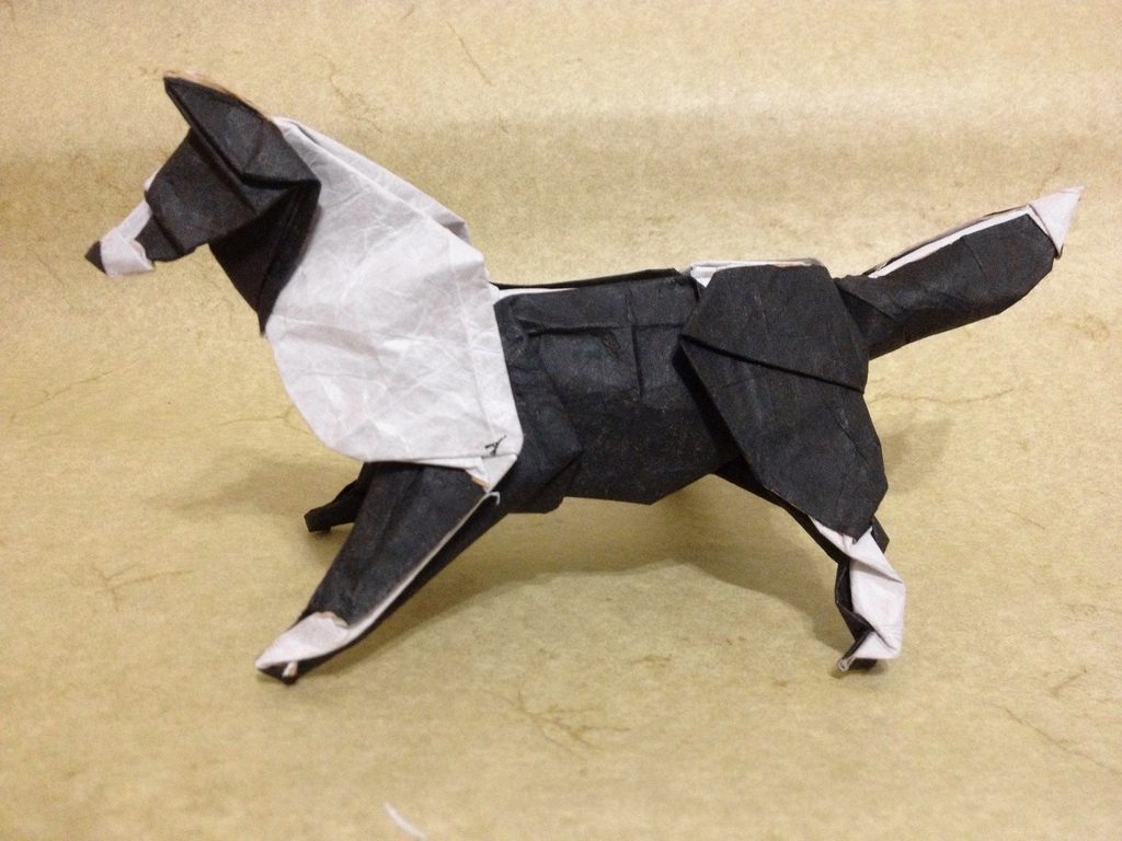 origami de cachorro cachorro dobradura