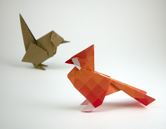 origami passaro dobradura passaro