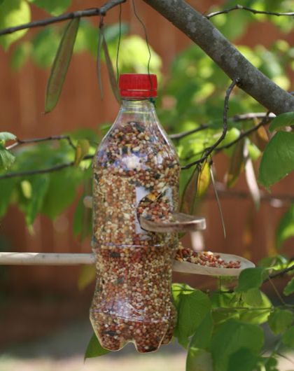 Comedouro com garrafa pet é ótima opção para ter a natureza mais próxima de sua casa (Foto: herecomesthesunblog.net) 