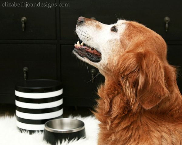 Você pode reaproveitar latas de biscoito de diversas formas (Foto: elizabethjoandesigns.com)