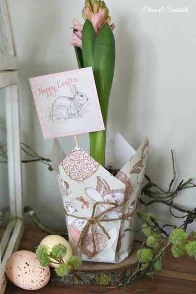 Cachepot de papel para plantas é lindo e barato (Foto: cleanandscentsible.com)