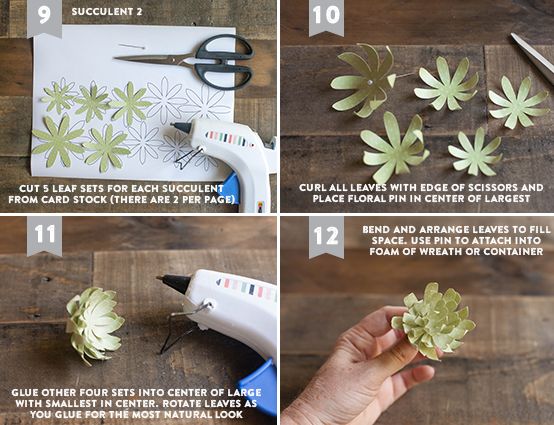 Aprenda a fazer esses 4 tipos de suculentas de papel para sua decoração 