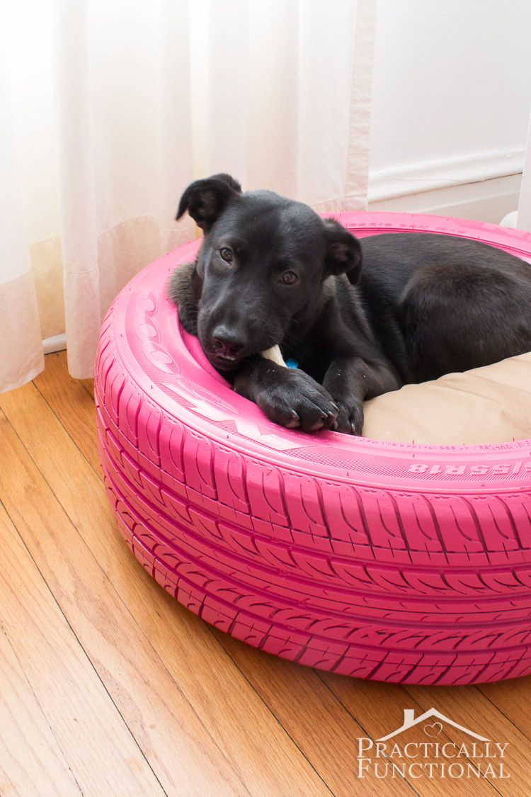 Cama de Pneu para Cachorro 