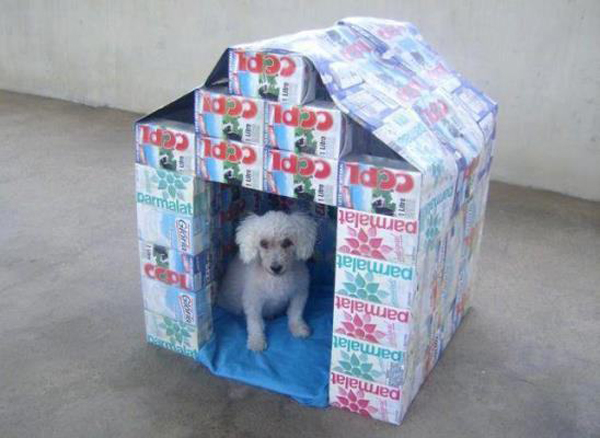 casa de cachorro de material reciclável