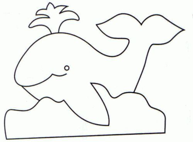 molde de baleia