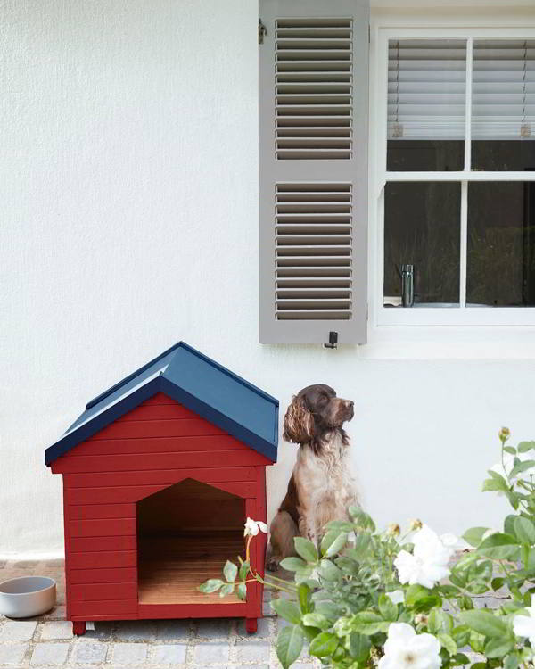 casas de cachorros