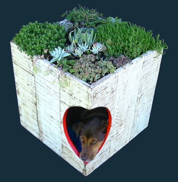 casinha de cão com portinha de coração 