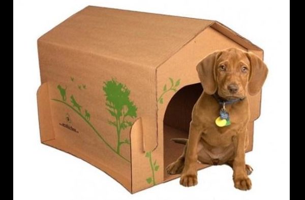 casinha de cachorro sustentável