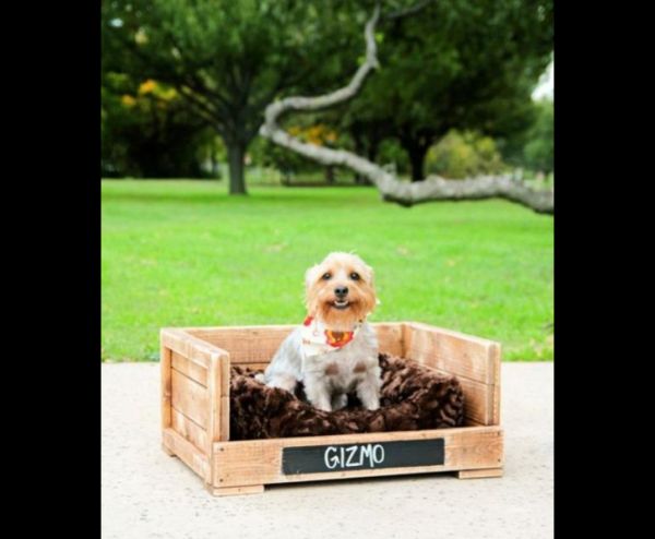 cama de cachorro com caixa de madeira 