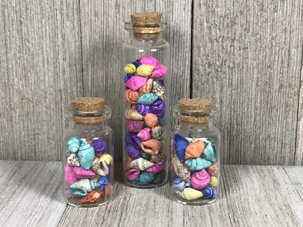 garrafa de vidro com conchas