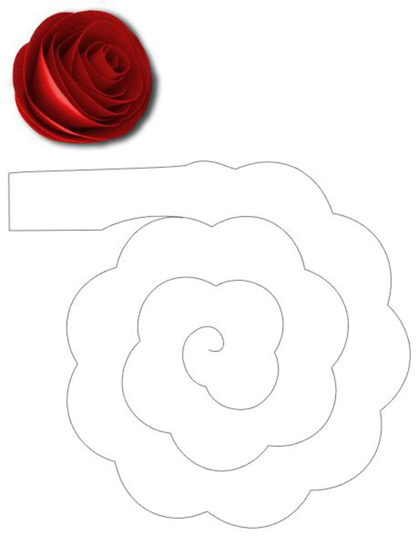 rosa em espiral 