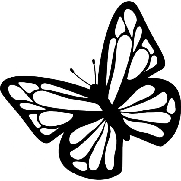 borboleta vazada com molde