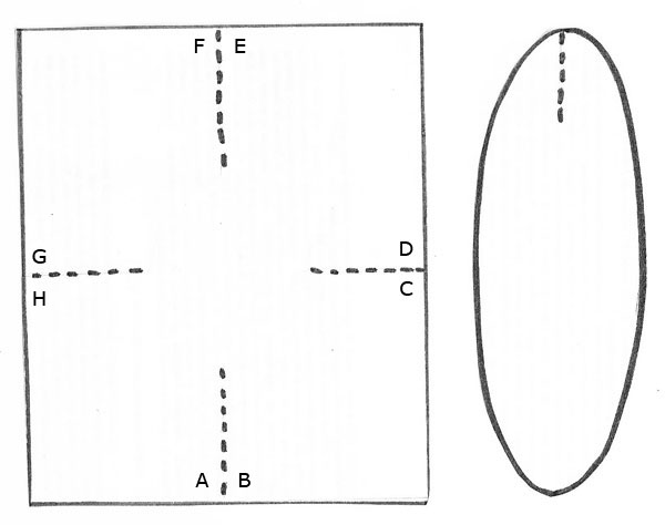 molde de porta bombom