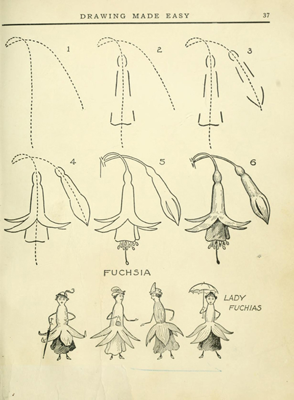 desenhos de flores