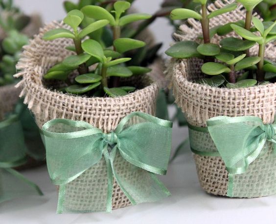 lembrança de casamento vasinho lembrança de casamento vasinho