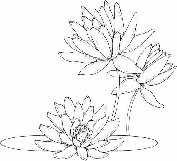 desenhos de flor simples 