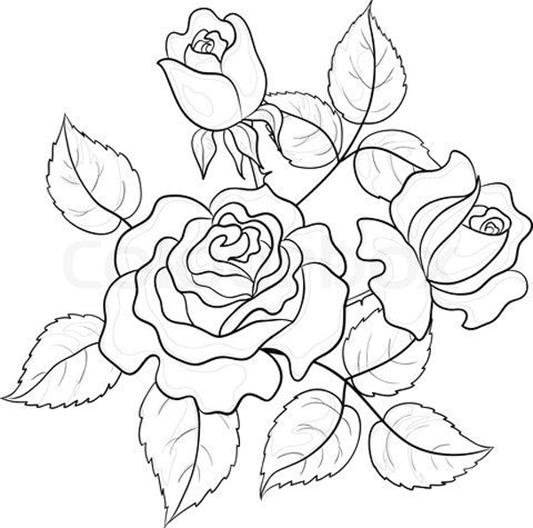 desenho de arte de linha de flor rosa ilustração de desenho de página para  colorir com vaso de flor 9004533 Vetor no Vecteezy