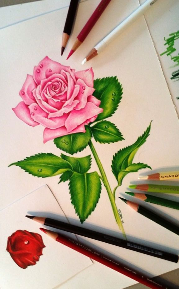 desenhos de flor rosa com caule