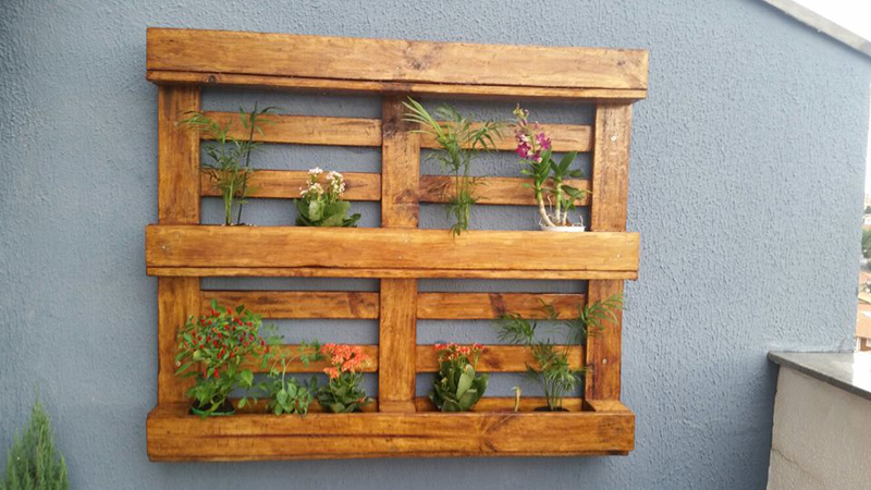 painel de pallet plantas 