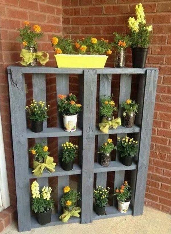 pallet pallet
