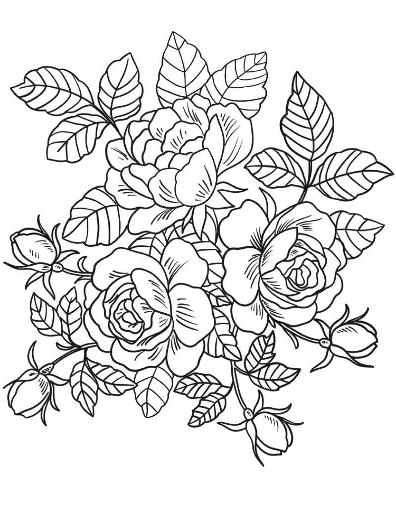 Desenho de Rosas para Colorir: 20 Imagens para Imprimir - Artesanato Passo  a Passo!